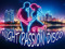 **** NIGHT PASSION DISCO ****