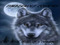 TIMBERWOLF COUNTRY TIMBERWOLF COUNTRY
