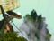 Duat Denizens
