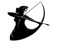 The Artemis Network