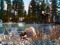 *Lakeside*