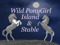 Salena Larsen's Wild Pony Girls