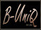 ::B-UniQ::