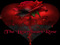 The Braveheart Rose