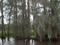La Vie Bayou La Vie Bayou