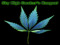 Sky High Toker's Hangout