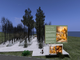 parcel image