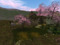 Sisi Biedermann Art & Garden