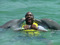13 Dolphins in Mexico 13 Dolphins in Mexico