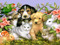 Everything Breedable Advertising Everything Breedable Advertising