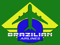 ..:: Brazilian Airlines ::..
