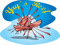 Yaq's Reef Yaq's Reef