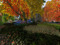 This is the Garden: Colors Come and Go This is the Garden: Colors Come and Go