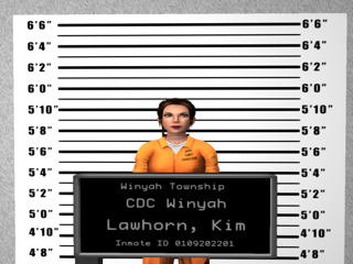 Mugshot of Kim Lawhorn