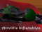 Airvill's Inflatables