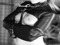 BDSM Collar me Ponygirls Puppygirls BDSM Collar me Ponygirls Puppygirls