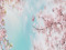 Sakura Heights Sakura Heights
