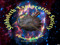 Shibboleth Exploration Society Shibboleth Exploration Society