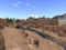 Baja Serpent Creed Land Group