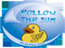 Follow The Sun festival
