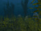 Kelpwick - The Deep End Kelpwick - The Deep End