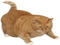 ~ Cool Cats ~ ~ Cool Cats ~