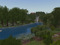 The Forest