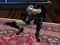 young  domme for older women