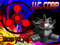 U.C. Corporation U.C. Corporation
