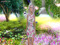 Social  ✿ڿڰۣ—ڿڰۣ—-  - ̗̀💖 -̖́