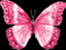 Princess Dolls