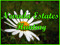 ***[Nevada ~ Estates ~ Hunting]***