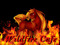 Wildfire Cafe