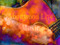 Abonwood Music Abonwood Music