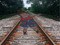 Links to know about Child Avis and Limits Links to know about Child Avis and Limits