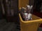 !! Life in SL part 2 !! Life in SL part 2