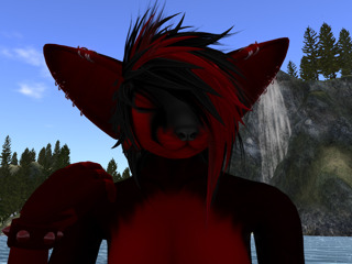 Second Life profile photo (full)