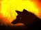 Russian Furry Planet