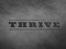 Thrive - Designers & Bloggers