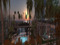 LUX Cove