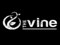 the VIne Music Venue