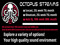 4-Octopus Streams Store & Beach House Nash 4-Octopus Streams Store & Beach House Nash