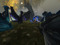 Dragons of SL [Flikr]