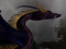 Dragon Legion