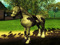KOT Stables