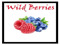 Wild Berries Wild Berries