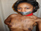  Submissive Black Whores 