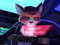 Furry Scripting Furry Scripting