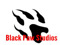 Black Paw Studios Group