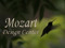MOZ Designs